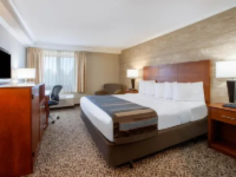 Wingate by Wyndham Detroit Metro Airport Hotel di Romulus