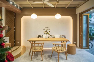 รูปภาพของต้นไทร ทรอปิคอล เกาะพีพี