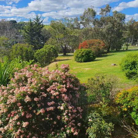 Bellbrae Motel
