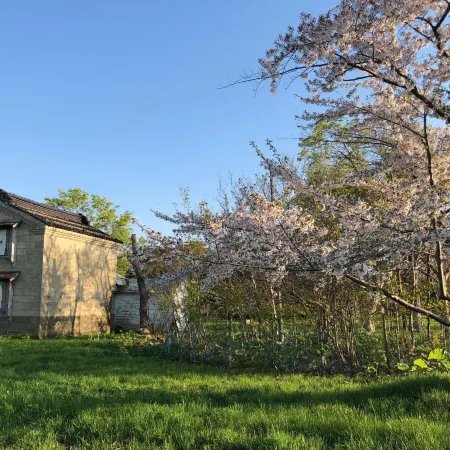 Guest House Yoichi Отели в г. Йоити