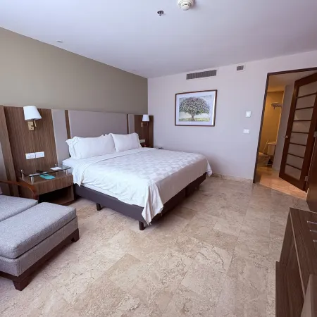 Holiday Inn VILLAHERMOSA AEROPUERTO by IHG