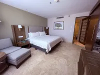 Holiday Inn VILLAHERMOSA AEROPUERTO by IHG - Pools