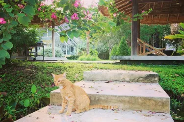 รูปภาพของบ้านบาง โฮมรีสอร์ท