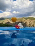 NorDar - Pools