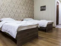 Nitstsa Hotel Hotels in Samara