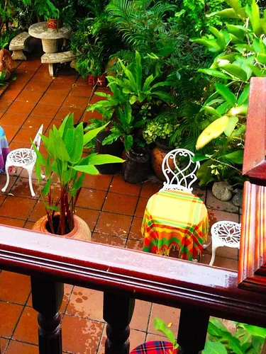 รูปภาพของใบเฟิร์น โฮมสเตย์