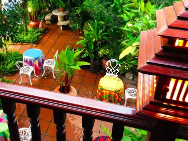 รูปภาพของใบเฟิร์น โฮมสเตย์