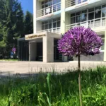 Hotel Berezki 酒店