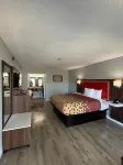 Econo Lodge - 2-Star