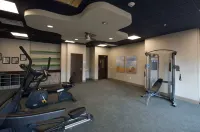智選假日套房酒店佩裏 - 商城區 - 健身室/gym room