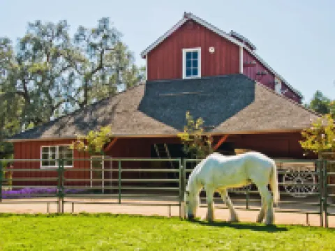Courtyard by Marriott Long Beach Downtown ロングビーチのホテル