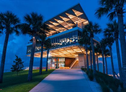 더 카롤 호텔, 세인트 피터스버그 클리어워터, 어 트리뷰트 포트폴리오 호텔