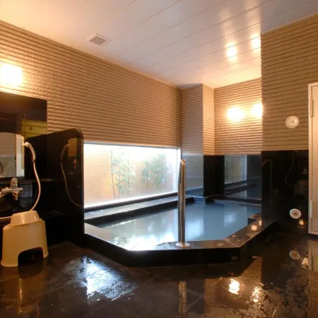 AB Hotel Mikawa-Anjo Minami Kan