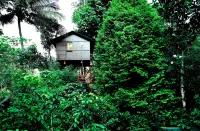 The Wayside Farm Cottage Munnar