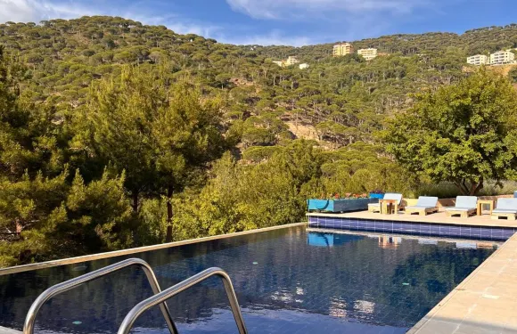 藍鳥谷住宿加早餐旅館