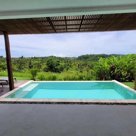 Mango Tree Siargao