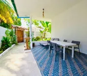 화이트 테른 몰디브