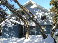 Terama Ski Lodge Hotels near Emirates