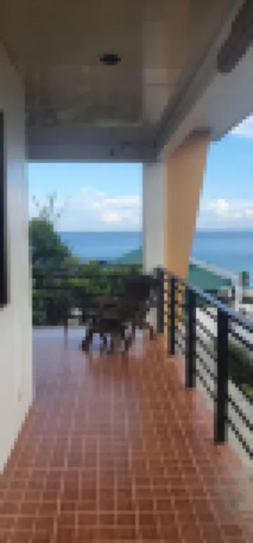 Lola's Guest House