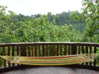 Hotel Orangutan Hotels in Langkat Regency