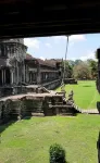 The Palmery