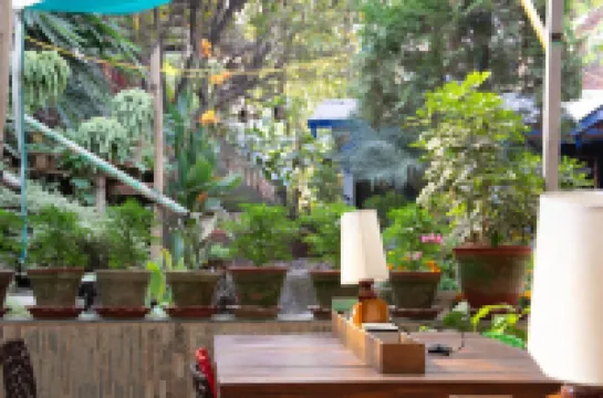 Wanderthirst Hostel Hotels in 