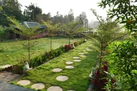 Jewel of Jungle Hotel a Ranchha