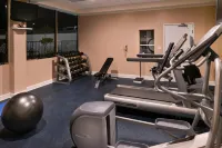 Holiday Inn Express & Suites PASADENA - LOS ANGELES by IHG - spa