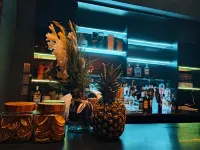 Hotel San Lorenzo - Bares