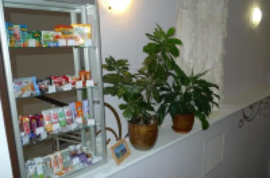 Vintazh Hotel Hotels in Cherepovets