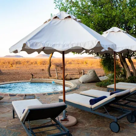 Last Word Madikwe