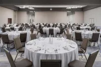 AC Hotel Kingston, Jamaica