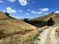 Ashleigh Court Motel