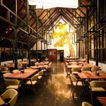 Elixir Woods Luxury Resort and Spa, Munnar