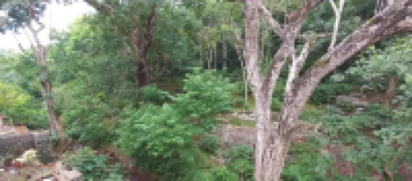 Istays - Loop Road, Yercaud