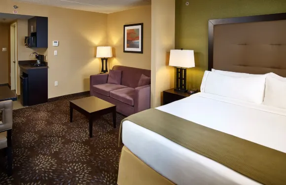 智選假日套房酒店蒂明斯