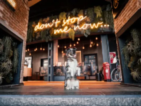 Me and All Hotel Hanover, by Hyatt