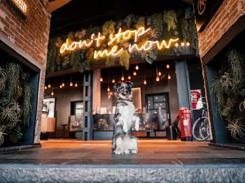 Me and All Hotel Hanover, by Hyatt