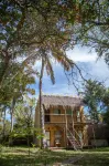 Turtle Cove Lodge and Yoga Shala Hotels in 