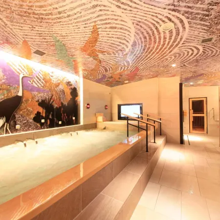 Centurion Hotel&Spa Ueno Station