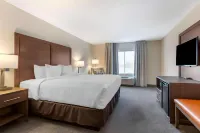 Comfort Inn & Suites Chestertown Hotels in Kent County