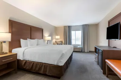 Comfort Inn & Suites Chestertown Hotels near Create