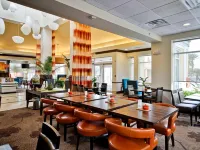 Hilton Garden Inn Tampa Northwest/Oldsmar Hotels in Westchase