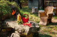 阿爾漢格爾斯克小屋 Dom-Muzey M.m. Prishvina附近的飯店