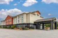 Comfort Inn - Lemmikkieläimet sallittu