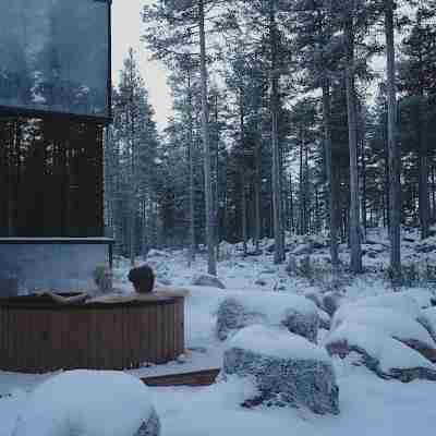 Invisible Forest Lodge Others