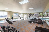 Midgard - Gym