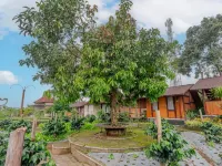 Kampung Bingo Glamping & Resto by Great Bali Villas Hotel in zona Tempio di Ulun Danu