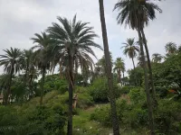 The Plum Mount Abu - Mountain view