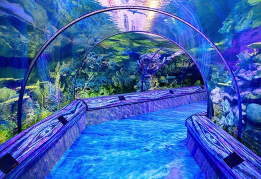 6. 홀리데이 인 올..